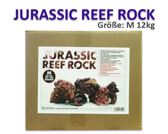 jurassic rock2